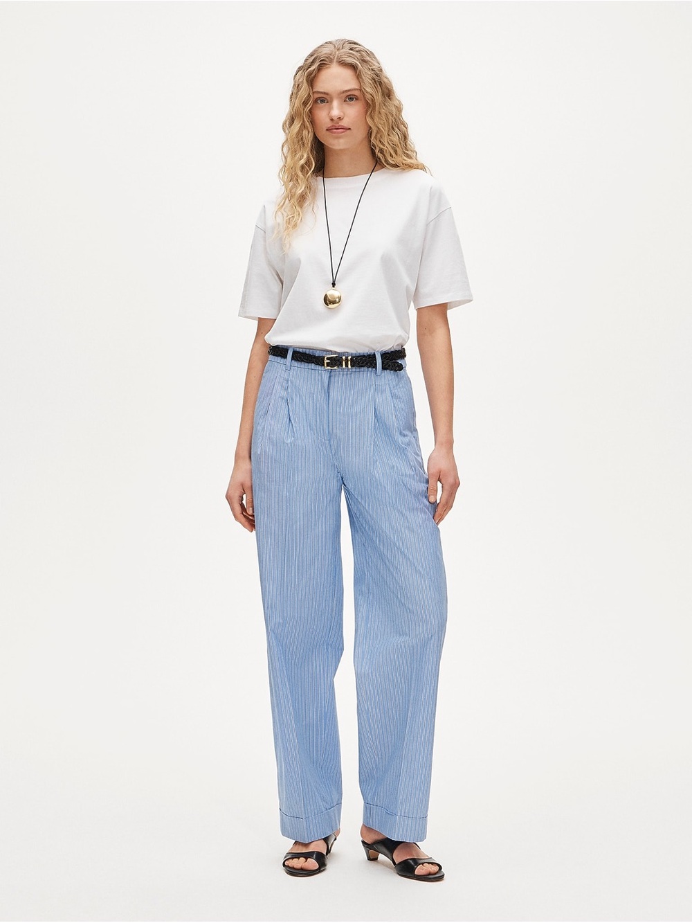 J. Crew Wide Leg Pleated Pant in Striped Cotton